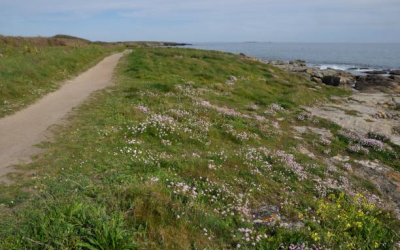 Balade a Tregunc, le long des plages de Trevignon