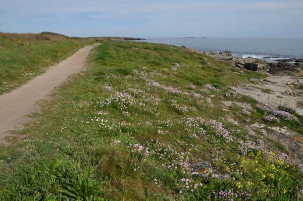 Balade a Tregunc, le long des plages de Trevignon